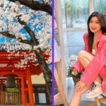 Japanese wife