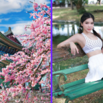 korean wife